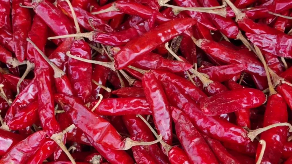 dry-red-chilli-s-10.webp