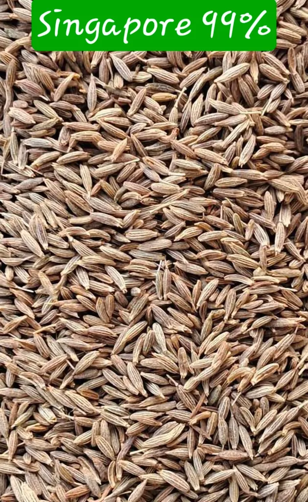 WhatsApp Image 2026-03-25 at 4.25.24 PM.webp