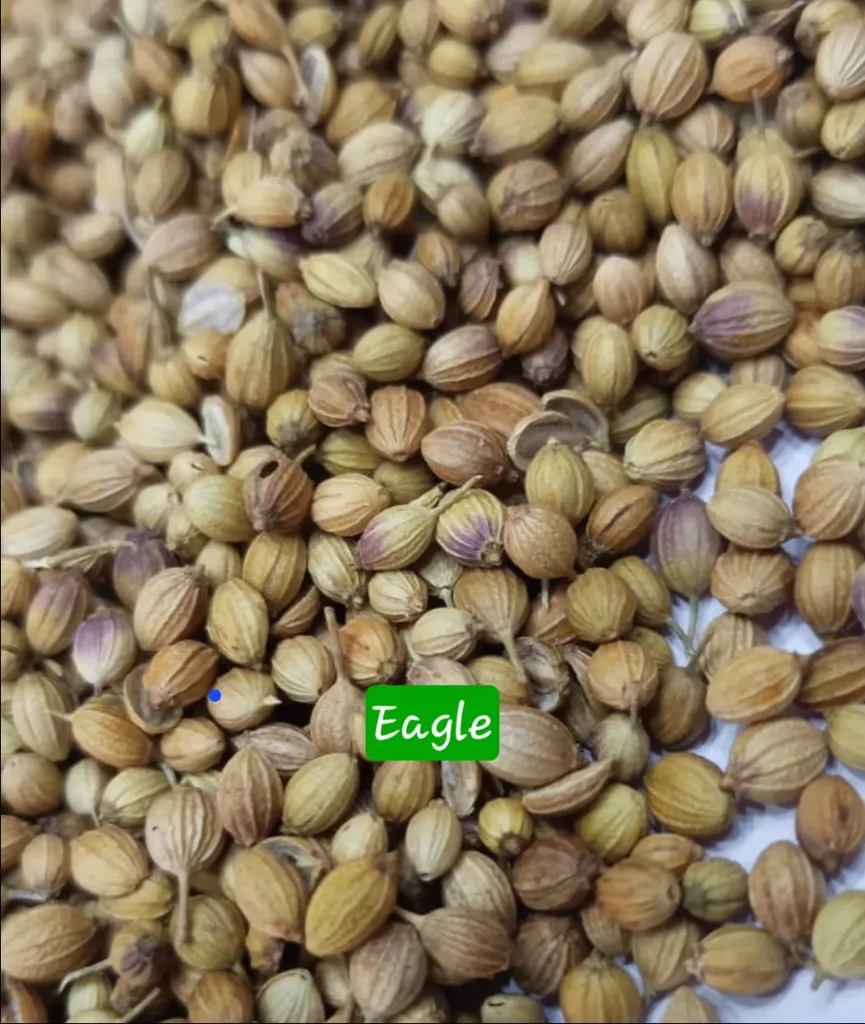 WhatsApp Image 2026-03-25 at 6.40.58 PM.webp