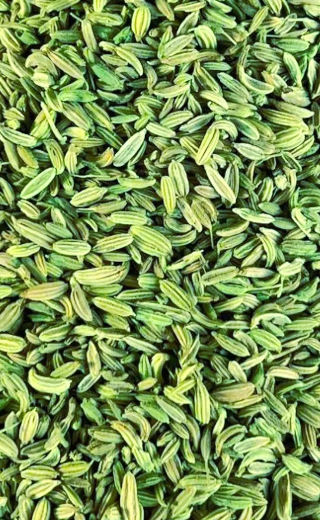 WhatsApp Image 2026-03-27 at 7.22.41 PM.webp