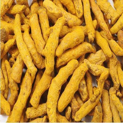 yellow-turmeric-finger-dry-kapada.webp