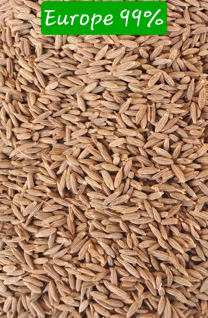Cumin Seeds (Jeera)