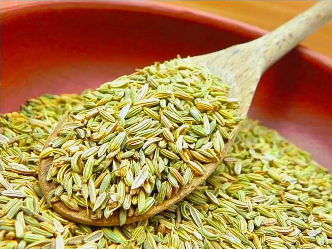 Fennel Seeds